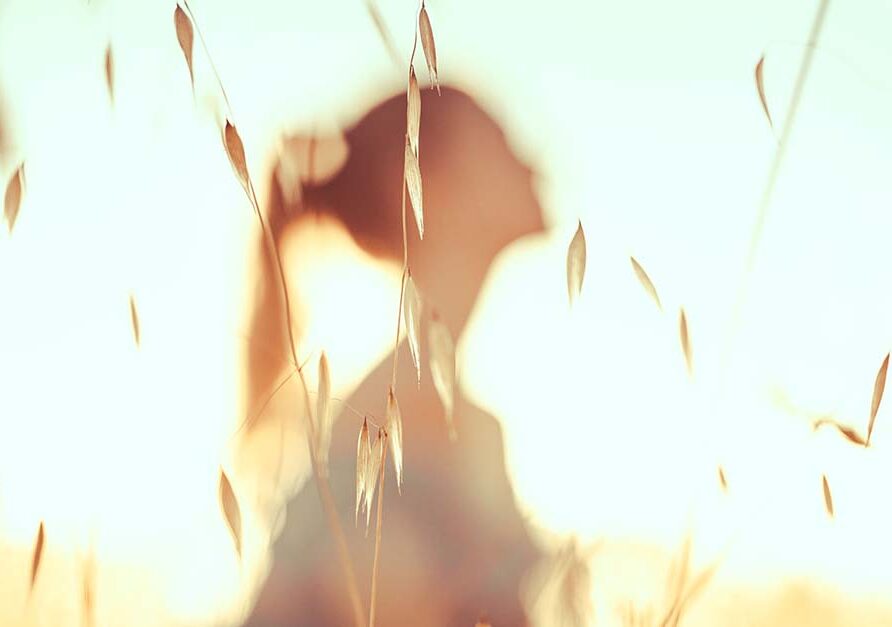 The Embodied Light Self