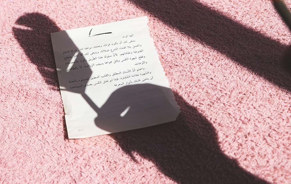 The Destiny You Wrote