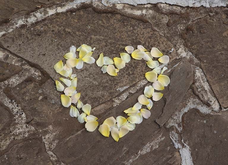 The Signature Harmonic of Love