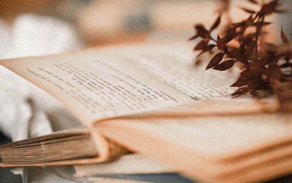 Information Is Free. Knowledge Belongs to No One.