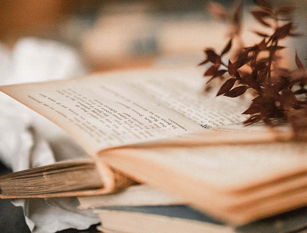 Information Is Free. Knowledge Belongs to No One.